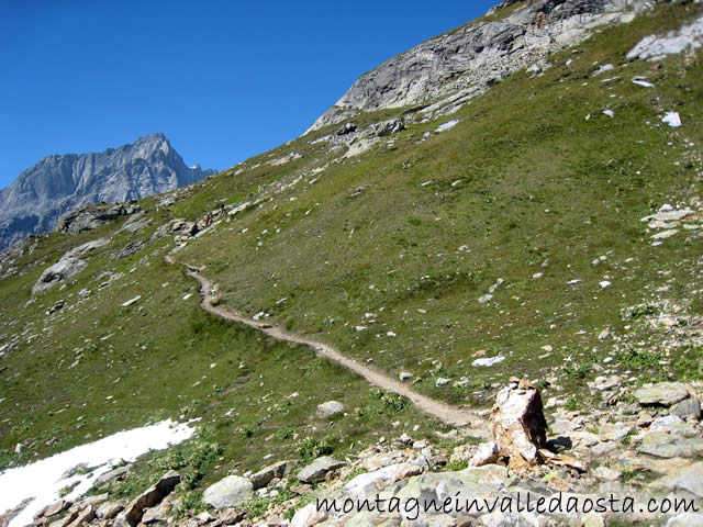 val ferret